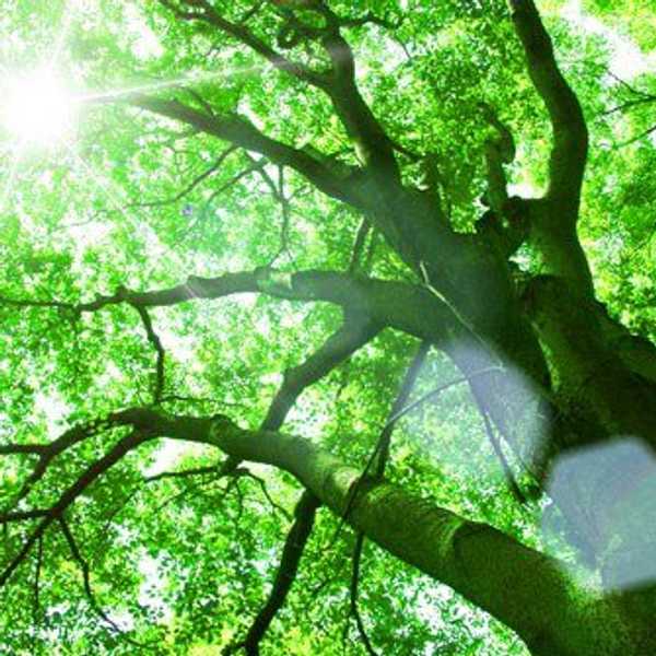 50 Reasons Life Is Worth Living