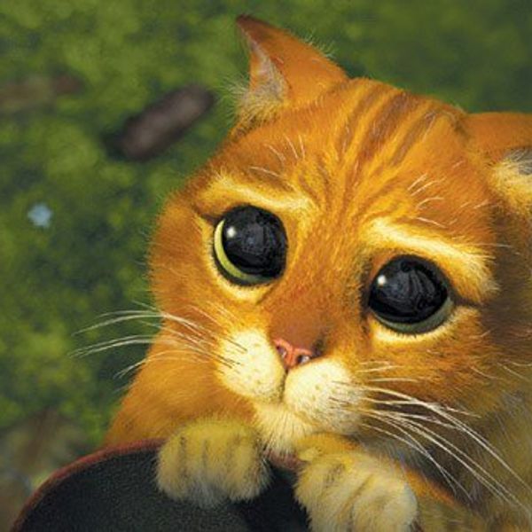 10 Life Lessons From Watching "Shrek"