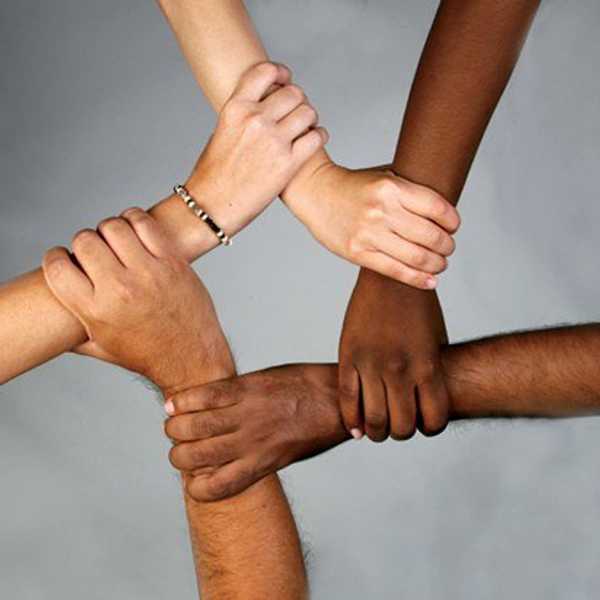 Shades Of Brown