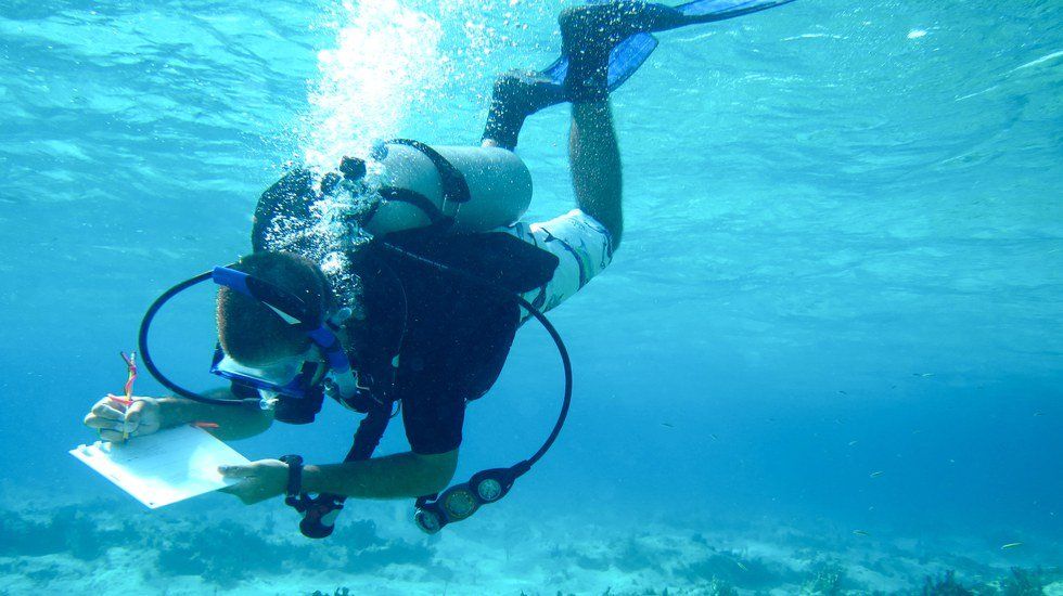 Before I Leave To Study Abroad