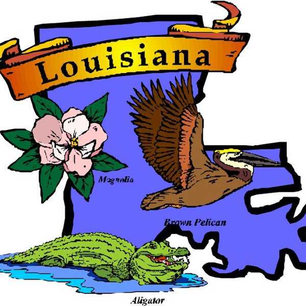 8 Reasons Why I Love Louisiana