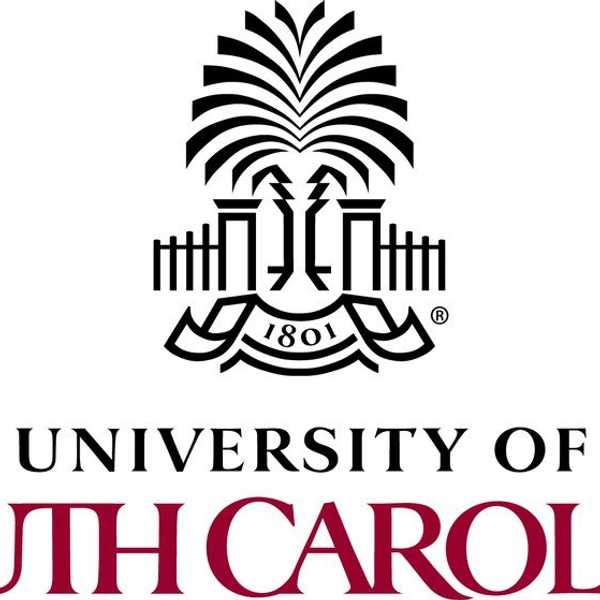 University Of South Carolina Wants To End The New Member Process For Greek Life
