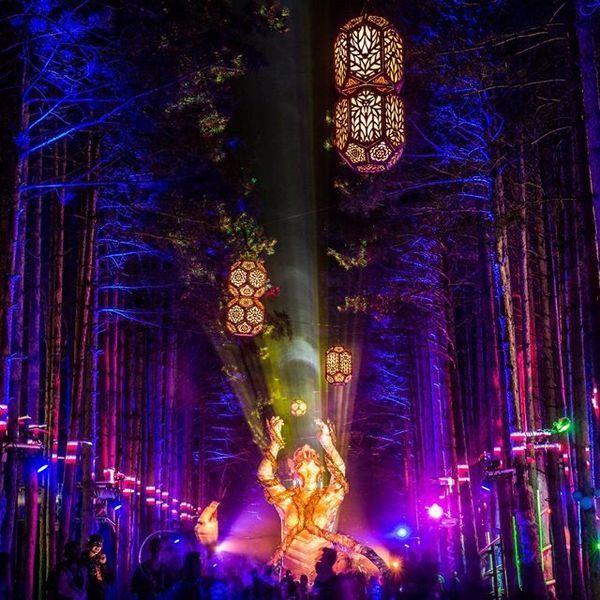 We Are Home At Electric Forest