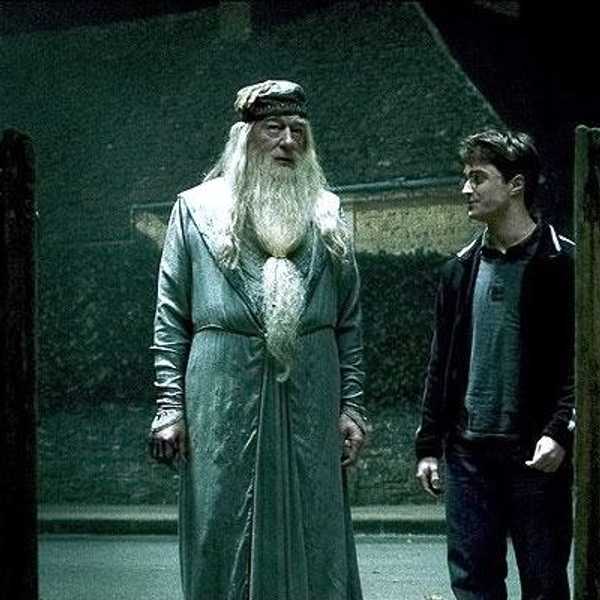 Harry Potter: A Pig For Slaughter