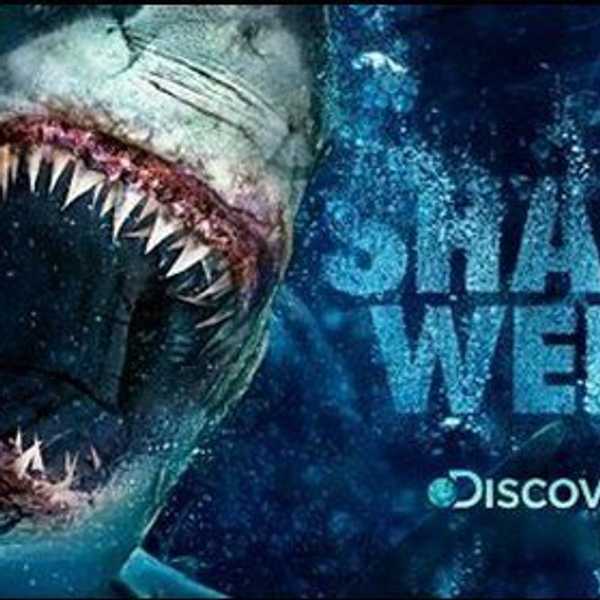 Top 10 Lessons We Learned From Shark Week 2016