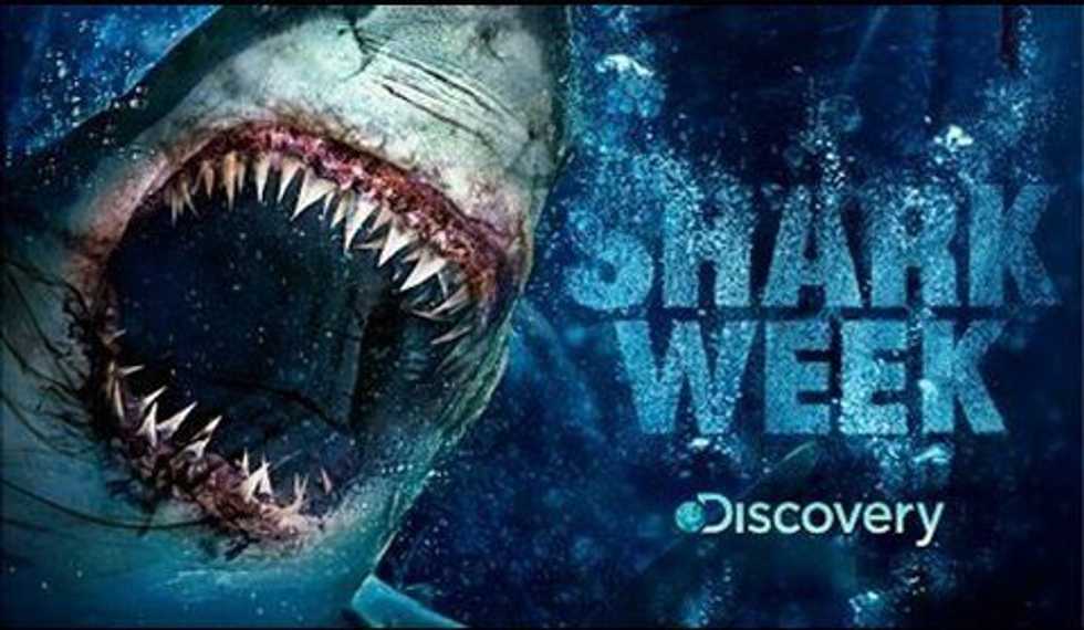 Top 10 Lessons We Learned From Shark Week 2016