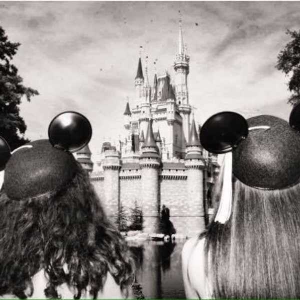 12 Things To Do On The Disney College Program At Walt Disney World