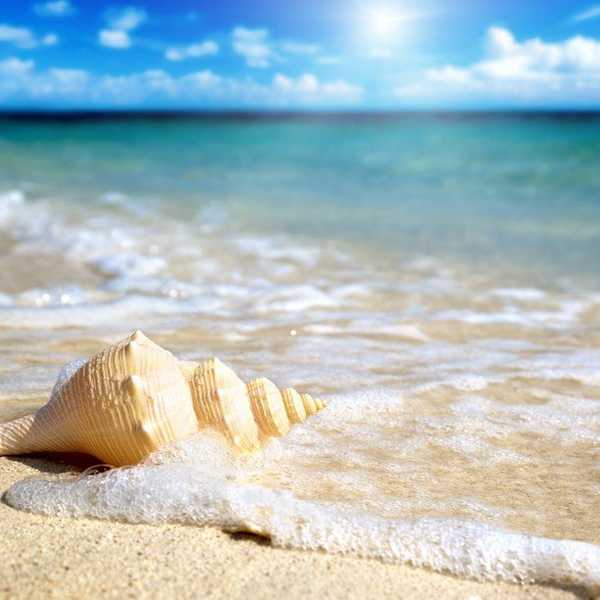 6 Tips To Having A Perfect Summer Beach Day