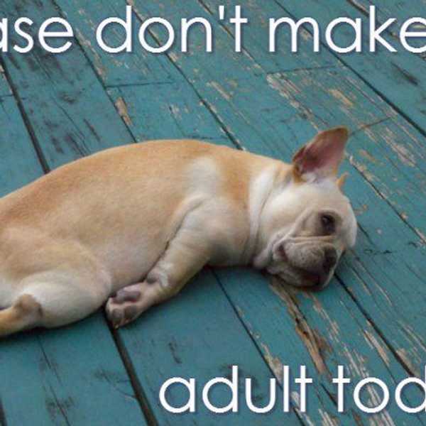 The Official Guide For Adulting