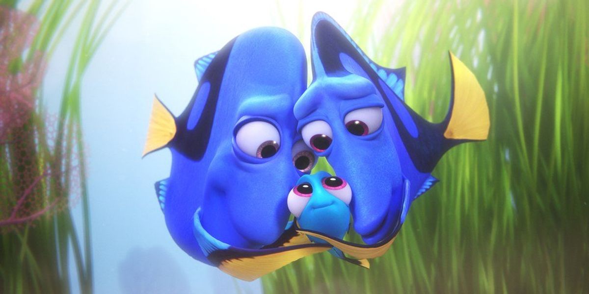 Graduating Dory 10 Finding Dory Quotes That Are Actually Life Lessons | The Odyssey Online