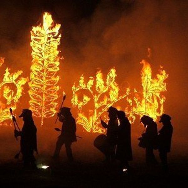 What Are We Actually Celebrating