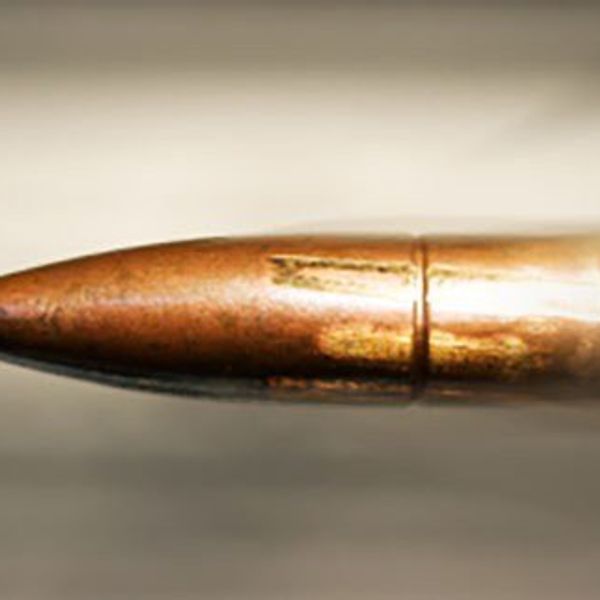 Stricter Gun Laws Will Not Lower Crime Rates