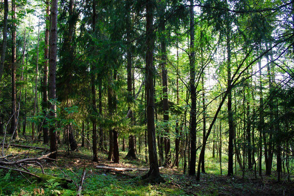 A Visual Introduction To Alfred University