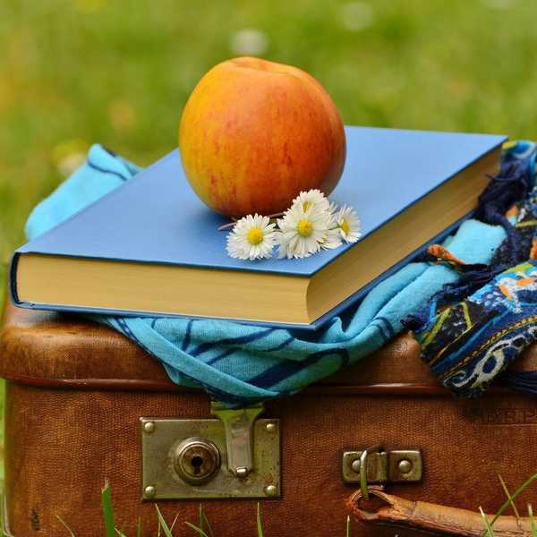 3 Books To Read This Summer