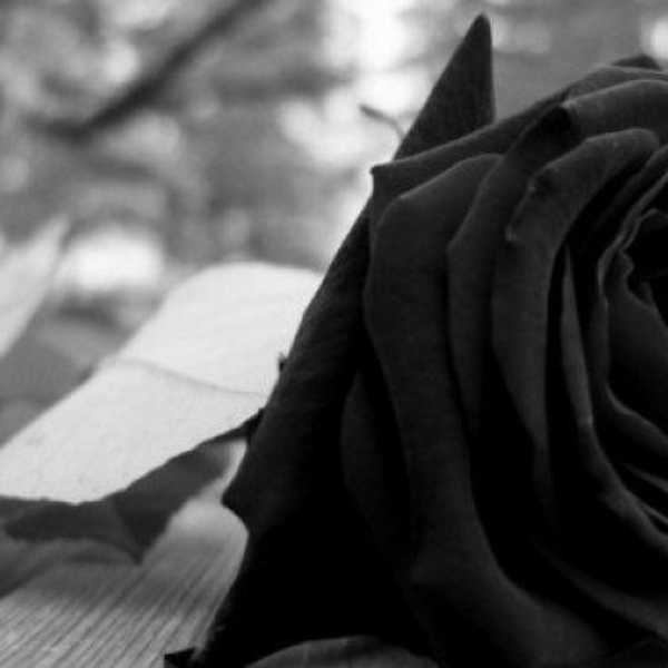 What I Want To Be Remembered For When I Die