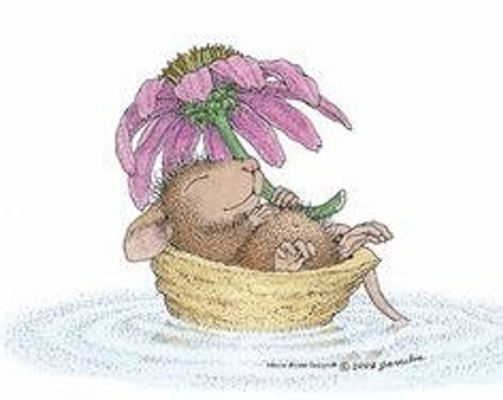 Family In A Nutshell