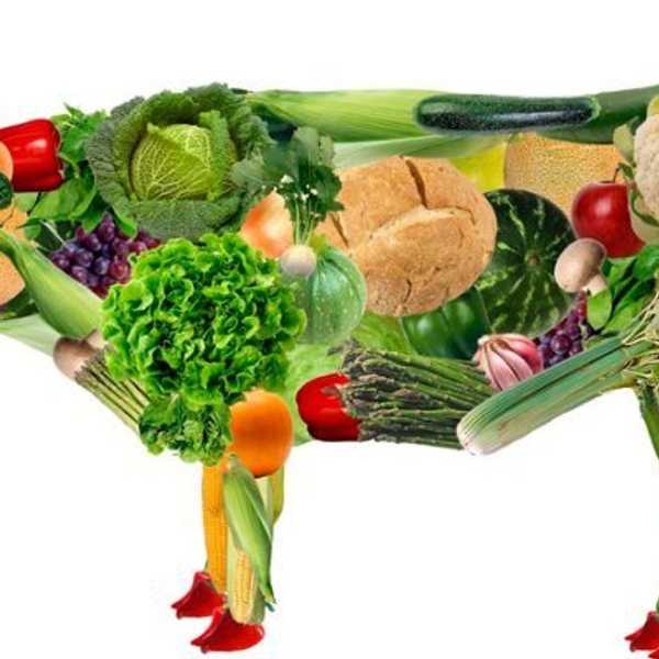 Why Do People Hate Vegans?