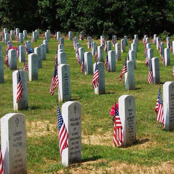 What Do Americans Have To Give To Be Free?