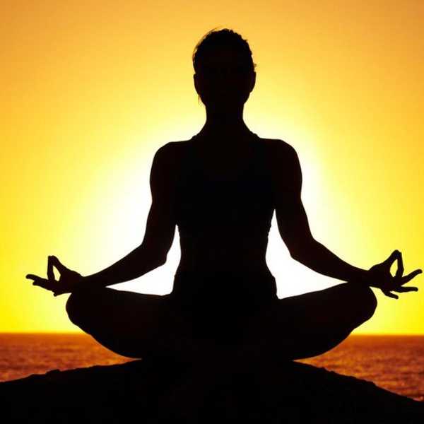 An Ode to My Fellow Yogis