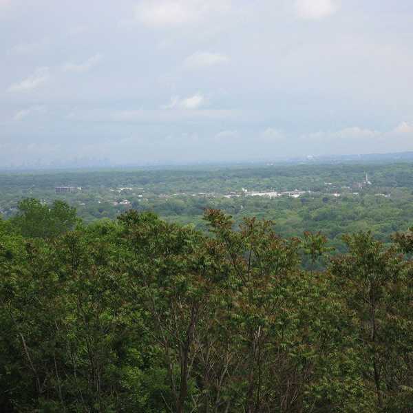 4 Fun Things to Do In New Jersey During The Summer