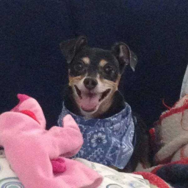 11 Things You Learn From Owning A Dog