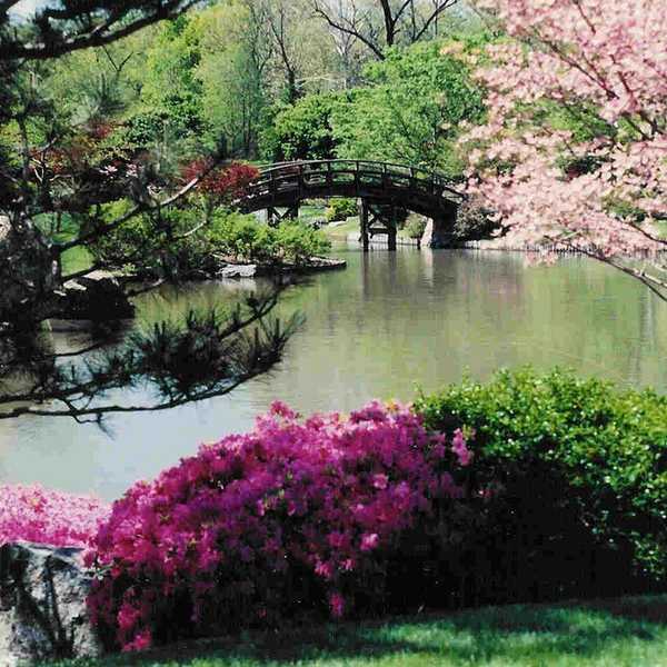 An ancient, yet revolutionary medicine