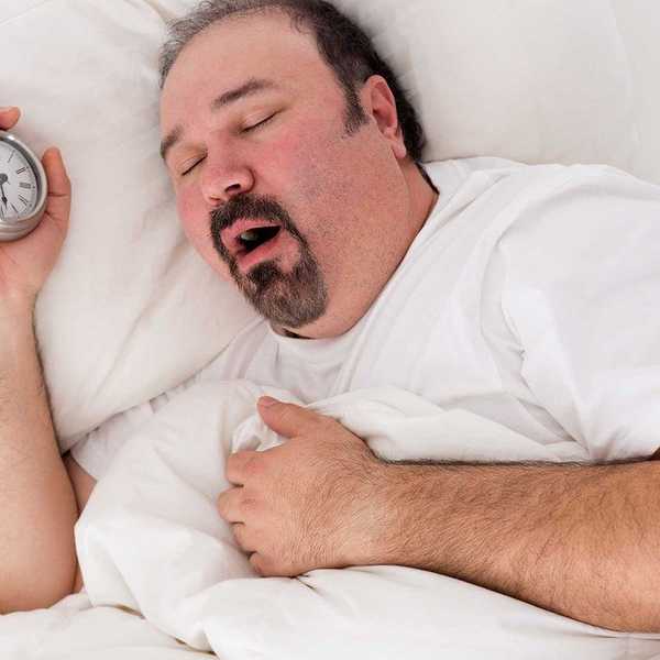 The Evolution Of Sleep