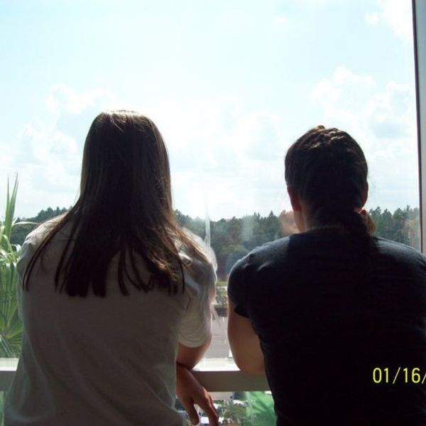 Where Has All The Honesty Gone?