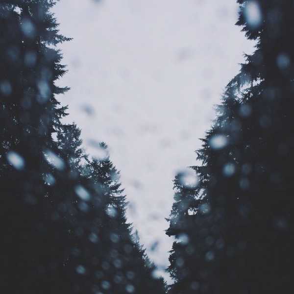 Lessons We Can Learn From The Rain
