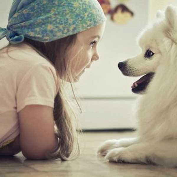 Why Having A Dog Is Better Than Having a Boyfriend