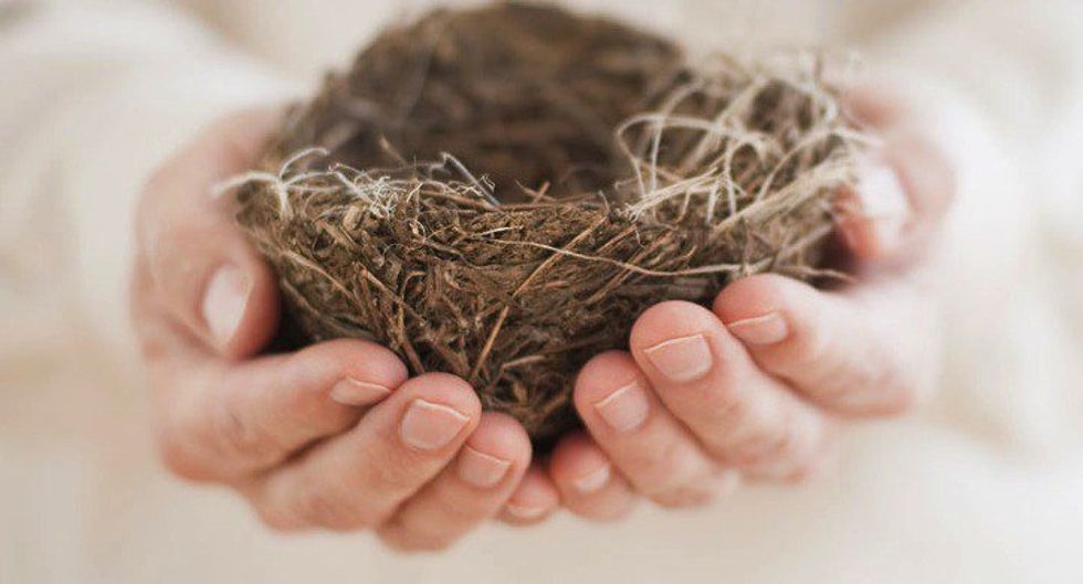 An Open Letter To Empty Nest Parents