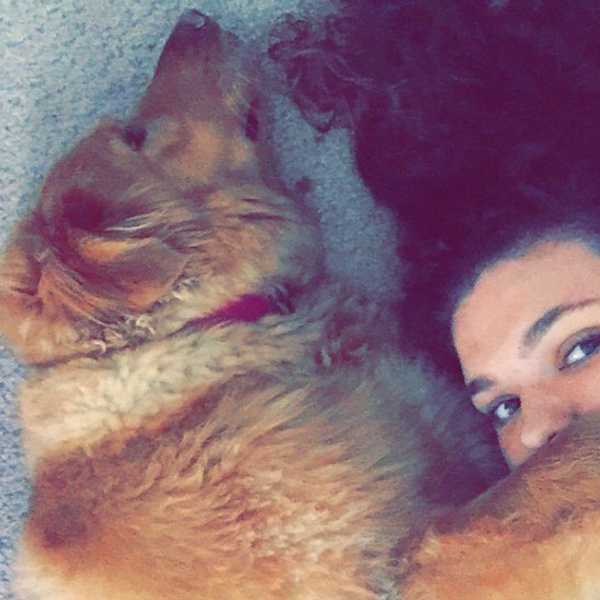 10 Struggles Dog Owners Know All Too Well