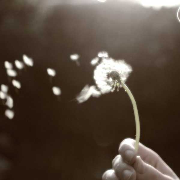 While You Were Wishing Your Life Away...
