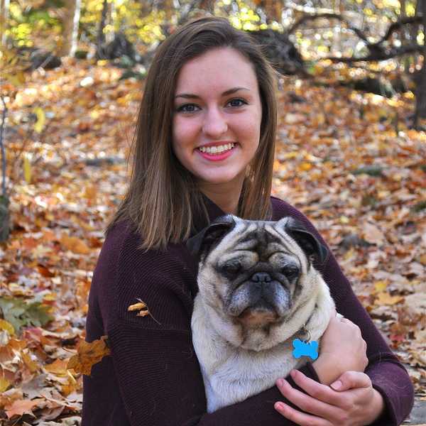 What To Never Forget About Having A Four-Legged Friend