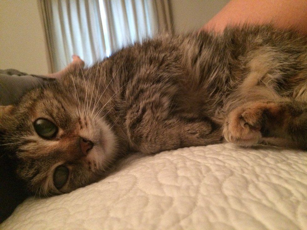 12 Pieces Of Wisdom That Will Make You A Better Pet Owner