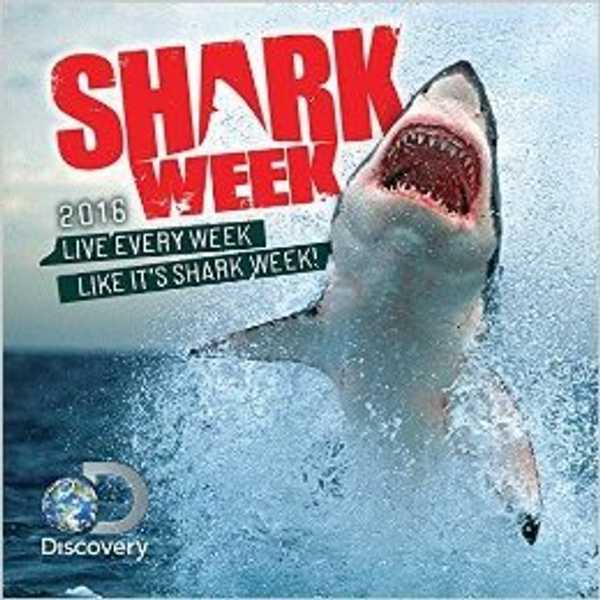 10 Items You Need To Survive Shark Week