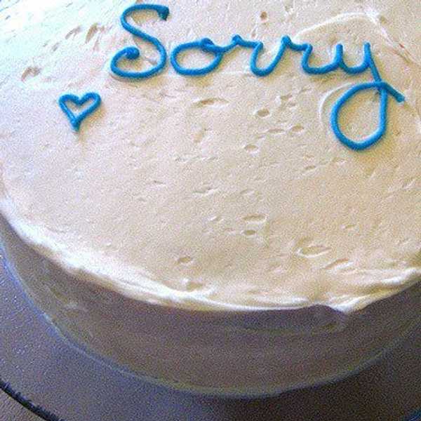 Learning To Apologize
