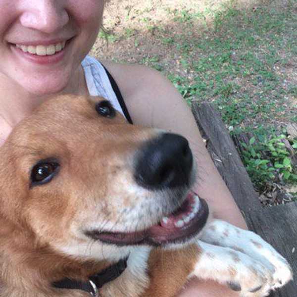 Comfort Pets In College