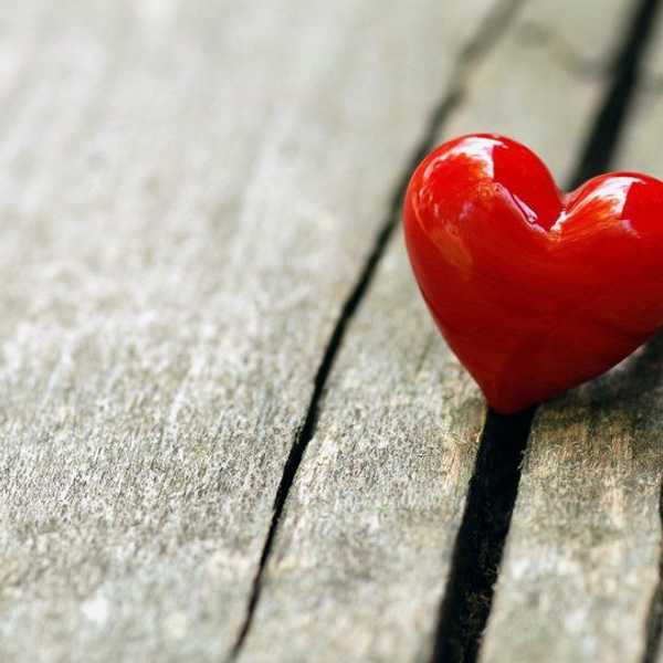 What Is Love?