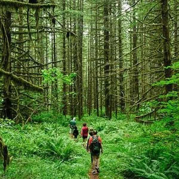 5 Fun Outdoor Summer Hobbies