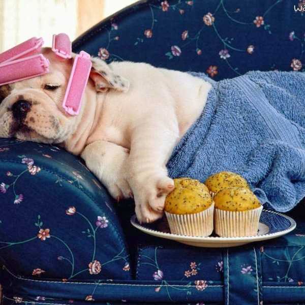 7 Thoughts Every College Student Has In The Middle Of Summer