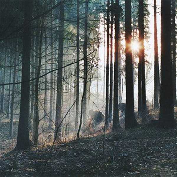 What Nature Means To Me