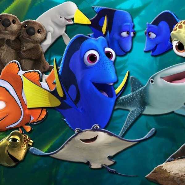 Finding Dory: Was The Film Everything We Were Looking For?