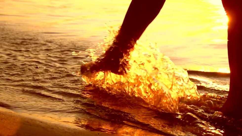Wading Waters