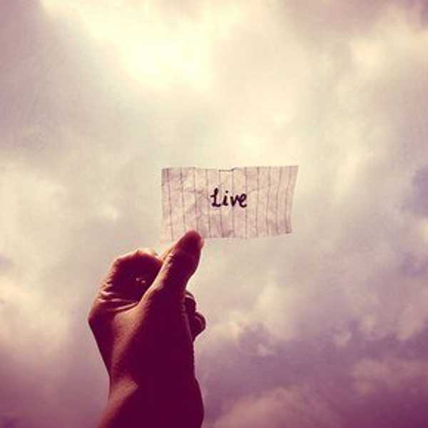 An Open Letter To The Life I Am Living