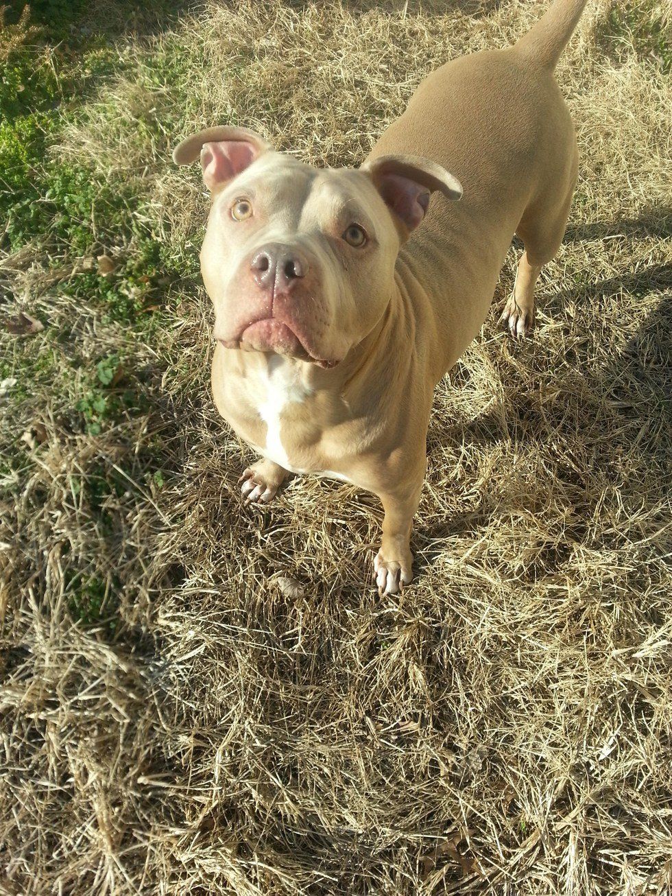 Punish The Deed, Not The Breed