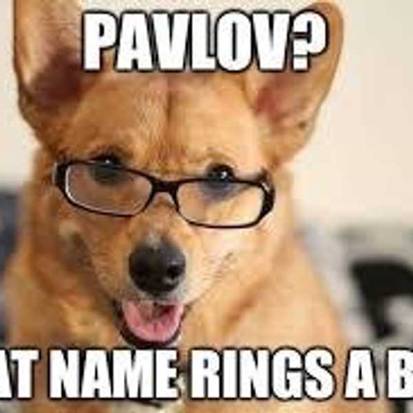 12 Jokes Only Psychology Majors Understand