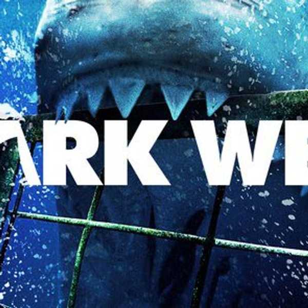 11 Shark Facts for Shark Week