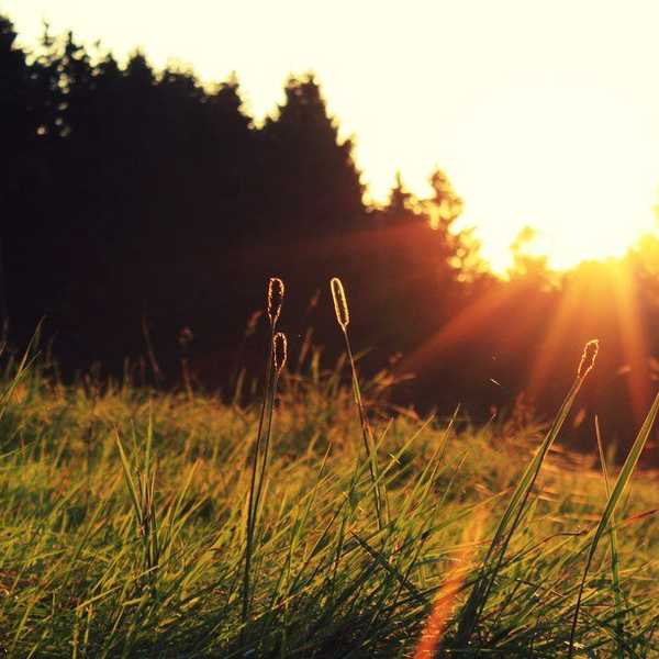 When Life Knocks You Down, You Can Stay Down. Or, You Can Stand Up And Fight