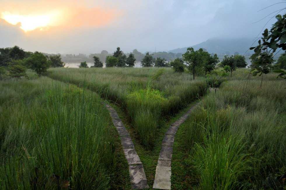 Choosing The Path That's Best For You